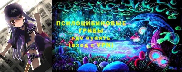 2c-b Абаза
