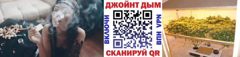 Бошки Шишки сатива  Чекалин 